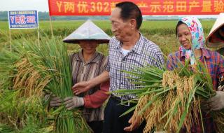 袁隆平的影响及意义 袁隆平发明的水稻有些什么重要意义